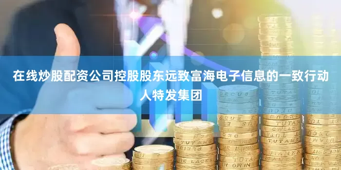在线炒股配资公司控股股东远致富海电子信息的一致行动人特发集团