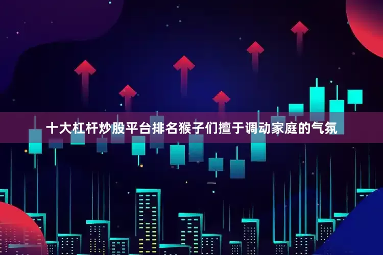 十大杠杆炒股平台排名猴子们擅于调动家庭的气氛