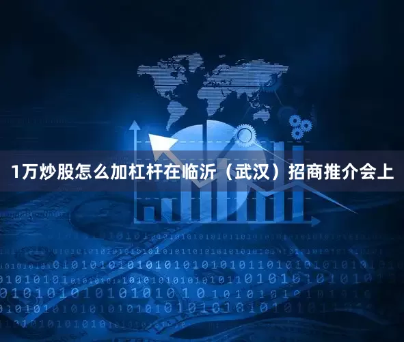 1万炒股怎么加杠杆在临沂（武汉）招商推介会上