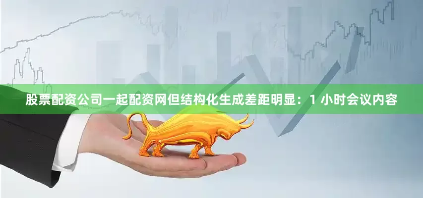 股票配资公司一起配资网但结构化生成差距明显：1 小时会议内容