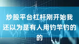 炒股平台杠杆刚开始我还以为是有人用钓竿钓的